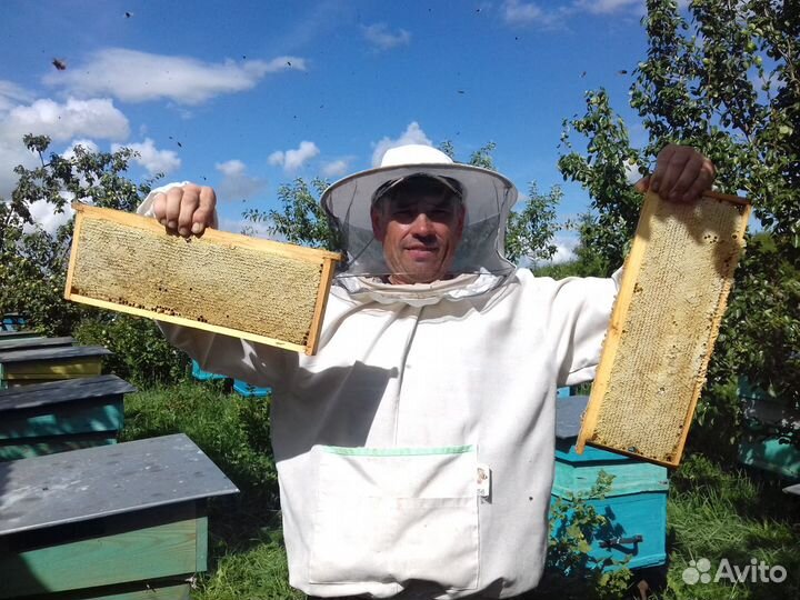 Мёд 2023 Соты, розница, опт