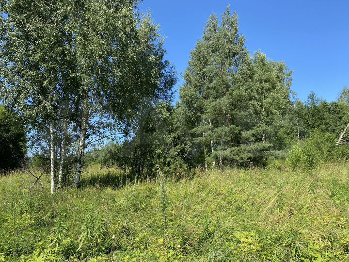 Участок 6 сот. (СНТ, ДНП)