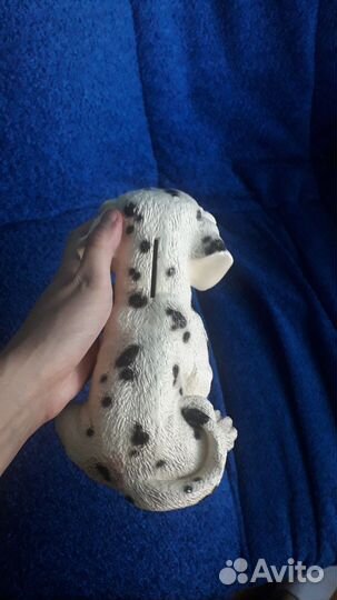 Далматин, щенок, копилка, собака, пес