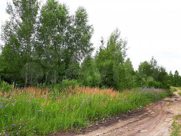 Участок 12 сот. (СНТ, ДНП)