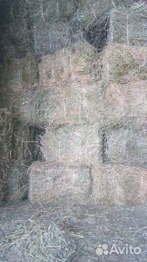 Сено с доставкой на дом