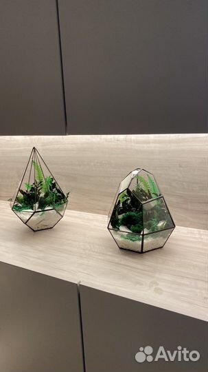 Часы из стабилизированного мха, флорариумы с мхом