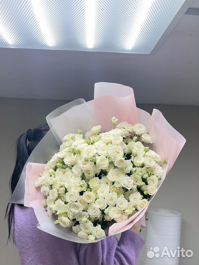 51 Кустова роза