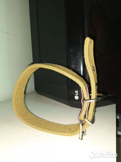 Ошейник для собак