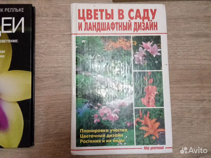 Садовый дизайн, Орхидеи