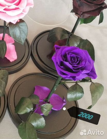 Цветы в подарок