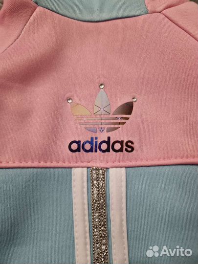 Одежда для собак