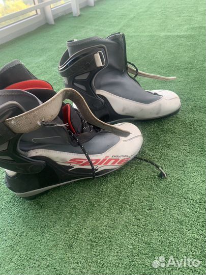 Лыжные ботинки spine