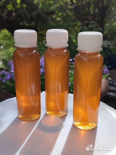 Адамово яблоко, маклюра