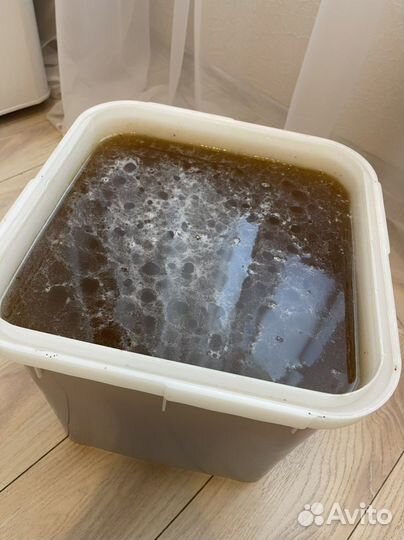 Мёд в куботейнерах