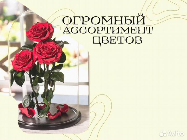 Розы в колбе любые