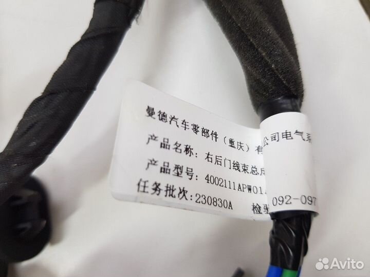 Электропроводка задней правой двери