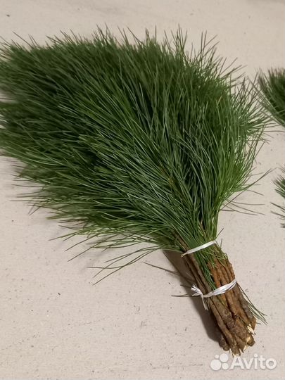 Веники пихтовые кедровые еловые