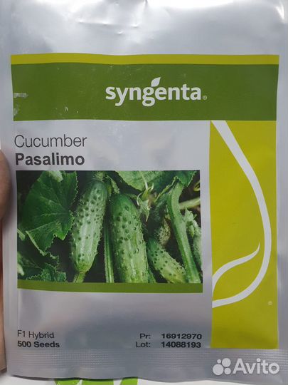 Семена огурец Пасалимо 500с Сингента