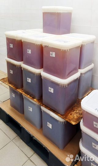 Натуральный мёд оптом (большие партии)