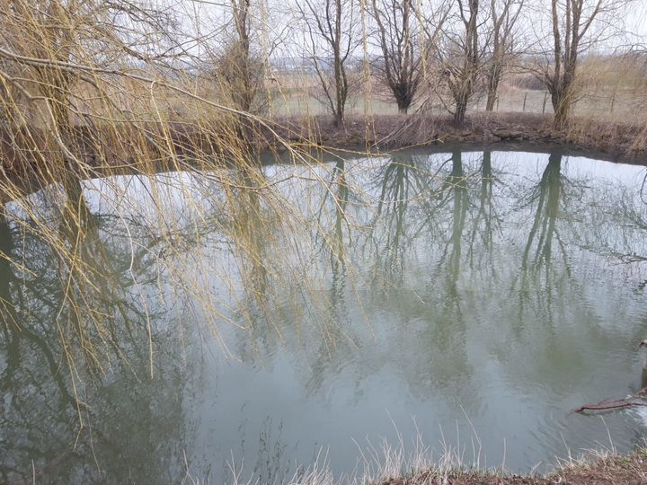 Дом 73 м² на участке 44 сот.