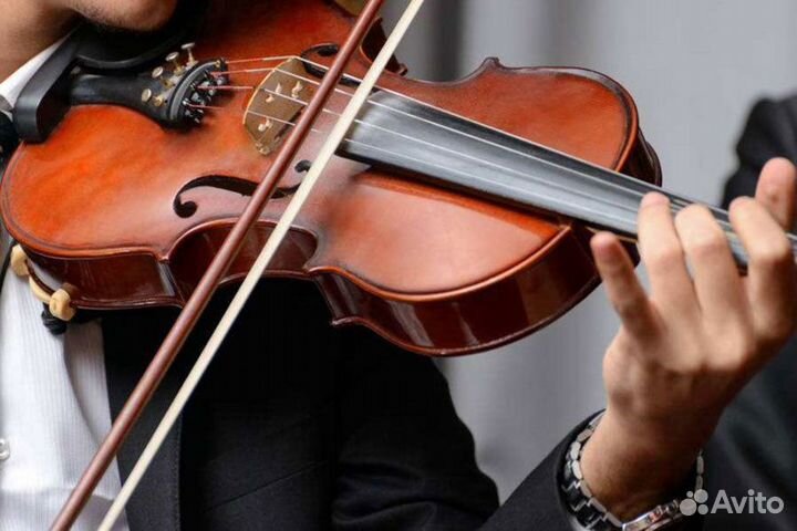 Уроки игры на скрипке