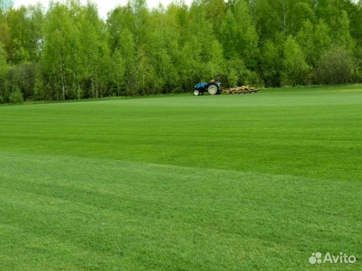 Рулонный газон