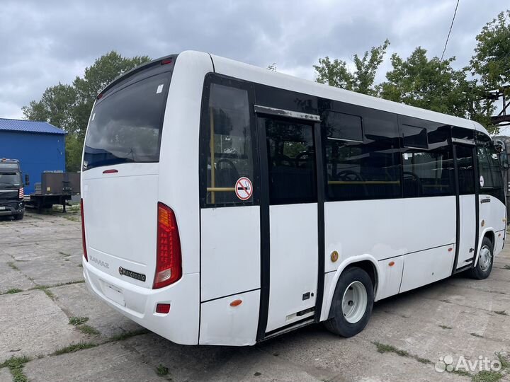 Городской автобус Marcopolo Bravis, 2013