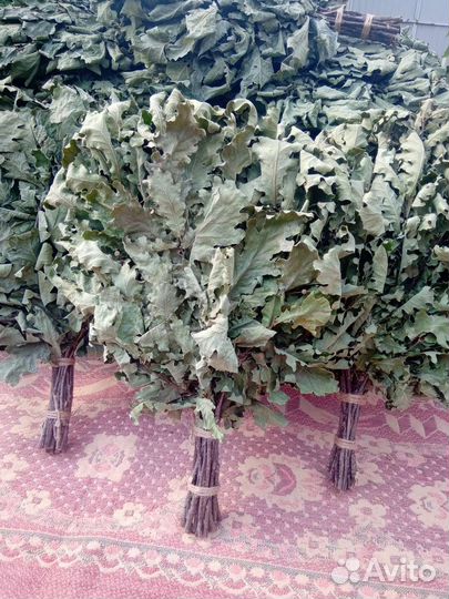 Дубовые веники для бани