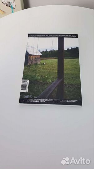 Владимир Мартынов Письма из Петраково