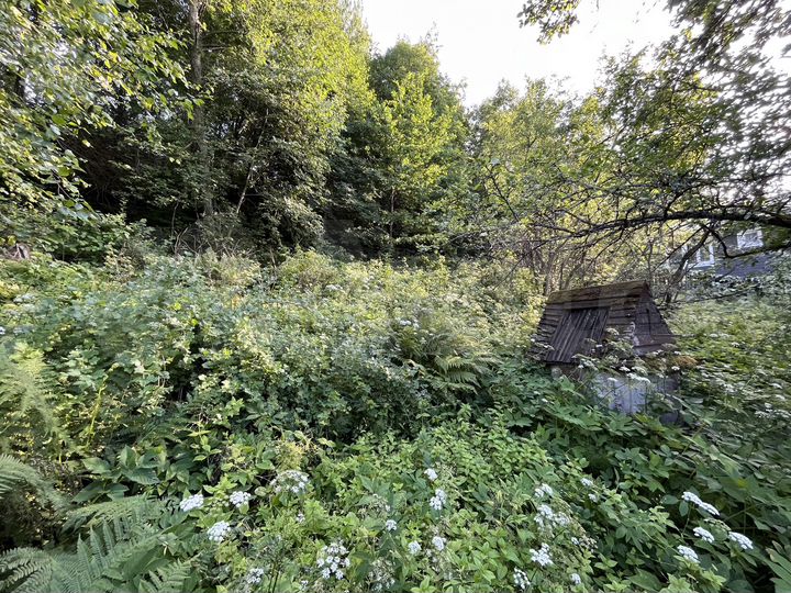 Участок 6,9 сот. (СНТ, ДНП)