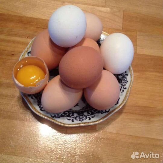 Яйцо куриное, домашнее