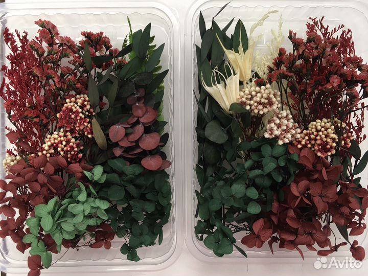 Набор сухоцветов красно-зелёный