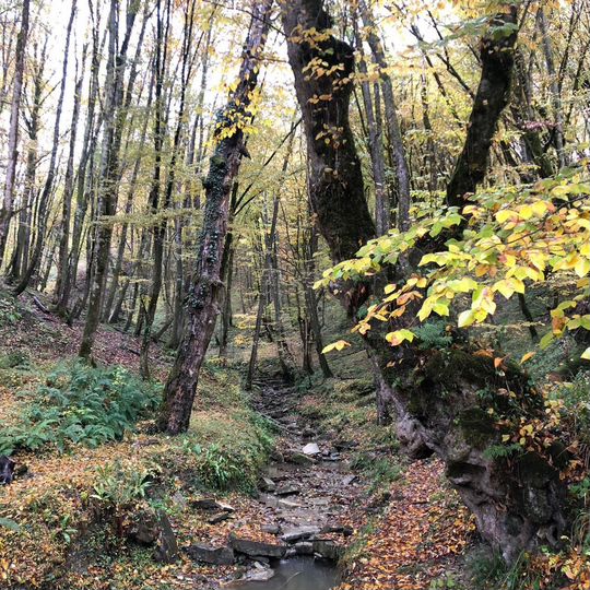 Участок 7,5 сот. (ИЖС)