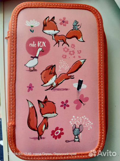 Пенал школьный