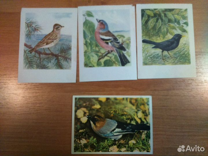 Открытки СССР, 1955 г