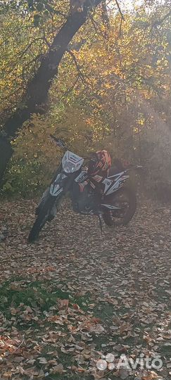 Sharmax 250 Ekspert Pro