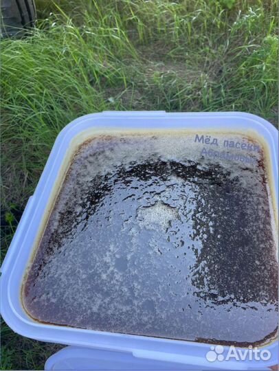 Мед свежий гречишный