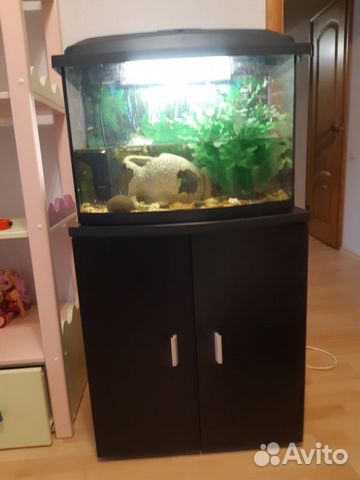 Аквариум 60 литров