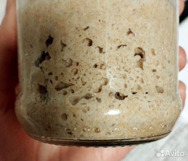 Ржаная закваска для домашнего хлеба