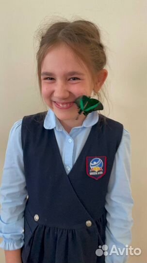 Шоу бабочек - мастер класс с живыми бабочками