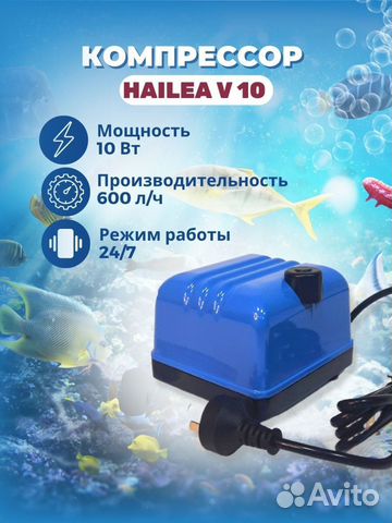 Компрессор воздушный Hailea V - 10