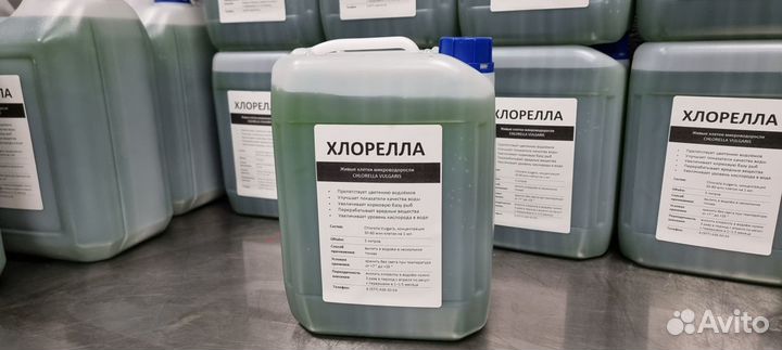 Хлорелла для водоемов