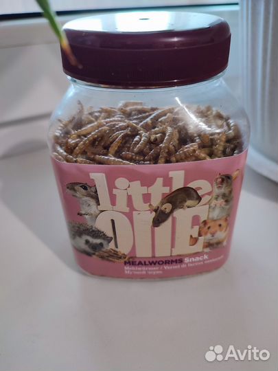 Корм лакомство little one
