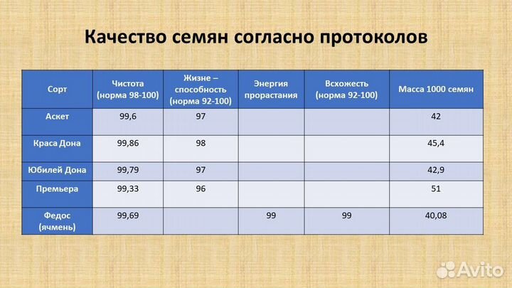 Семена мягкой озимой пшеницы