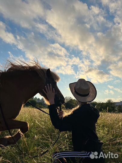 Пони в аренду