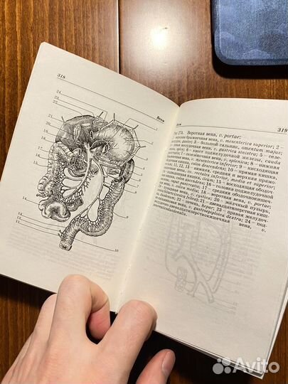 Атлас анатомия человека Боянович