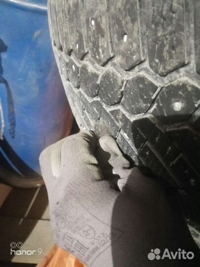 Gislaved Nord Frost 200 205/60 R16