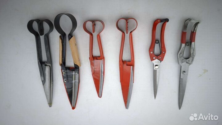 Ножницы для стрижки овец