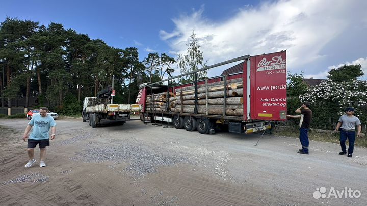 Срубы и пиломатериал из карельской сосны кело