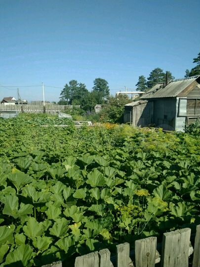 Дом 18 м² на участке 6,2 сот.