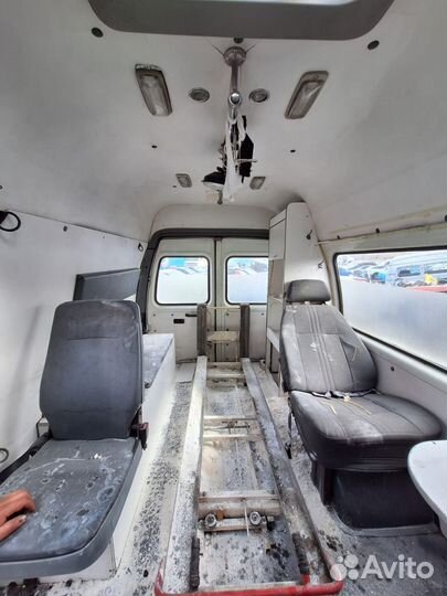 Газель высокая в разбор