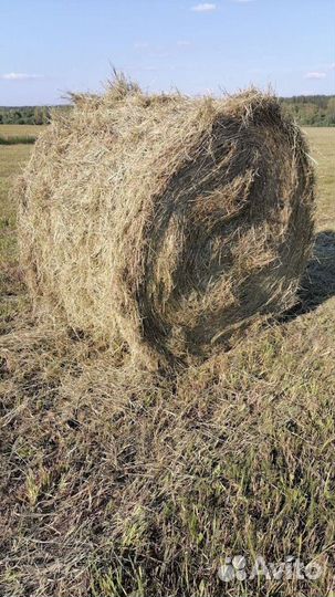 Солома, рулоны с доставкой
