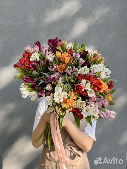 Букет из 25 Альстромерий микс