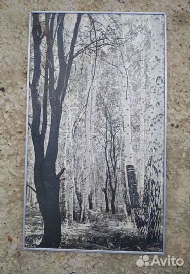 Фотопанно в AL раме, СССР